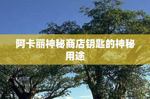 阿卡丽神秘商店钥匙的神秘用途图片