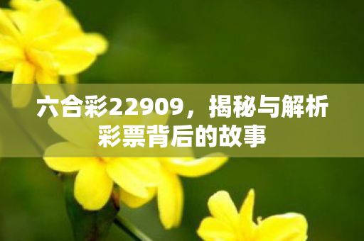 揭秘与解析彩票背后的故事图片