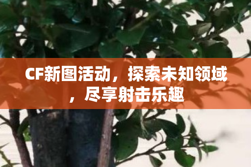 CF新图活动图片