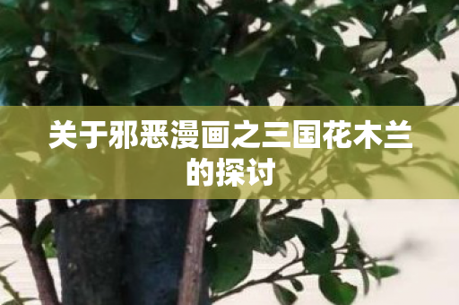 关于邪恶漫画之三国花木兰的探讨图片
