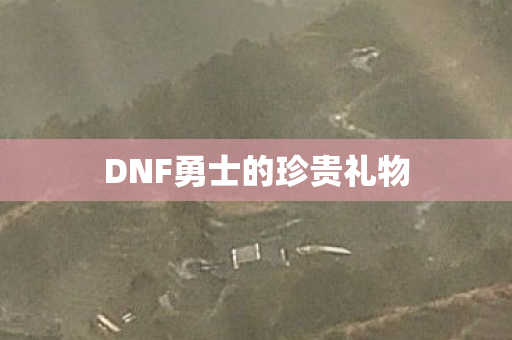 DNF勇士的珍贵礼物图片