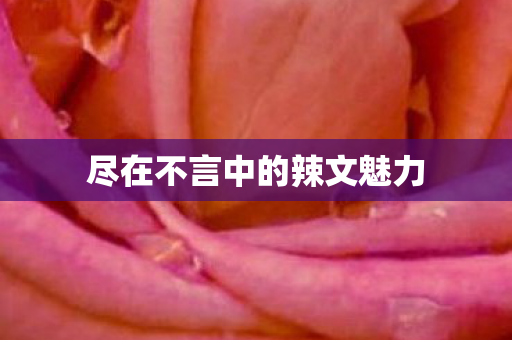 尽在不言中的辣文魅力图片