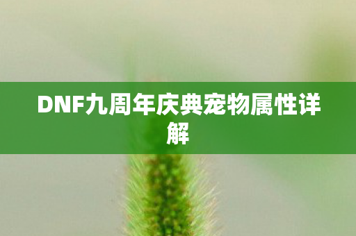 DNF九周年庆典宠物属性详解图片