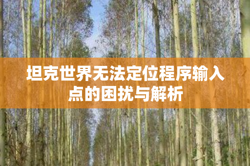 坦克世界无法定位程序输入点的困扰与解析图片