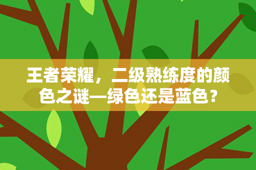二级熟练度的颜色之谜图片