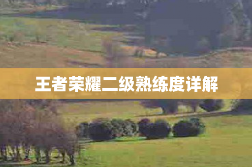 王者荣耀二级熟练度详解图片