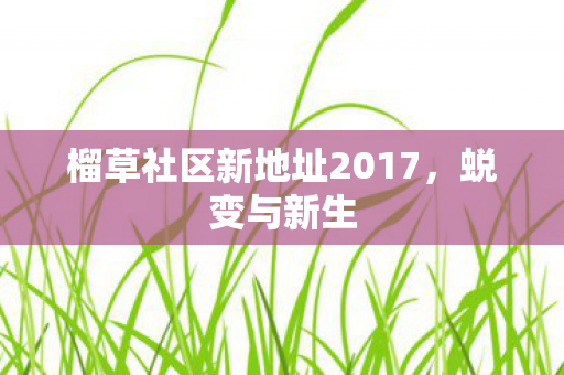 榴草社区新地址2017图片