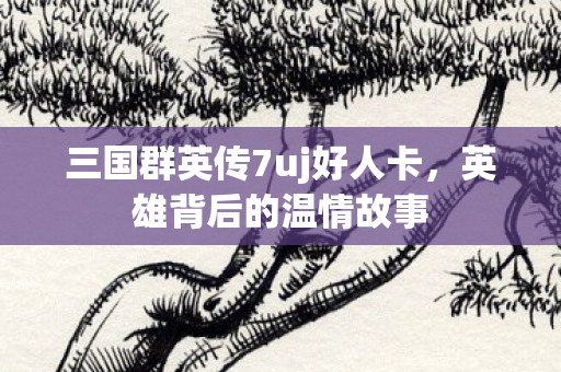 三国群英传7uj好人卡图片