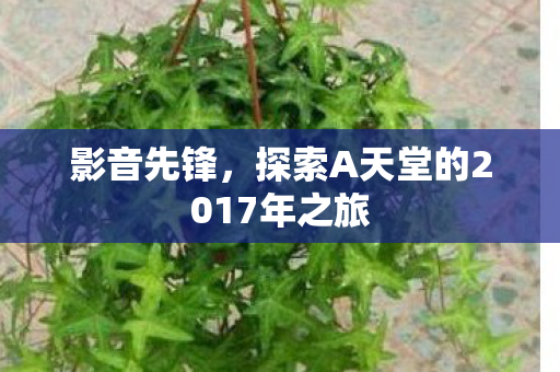 探索A天堂的2017年之旅图片