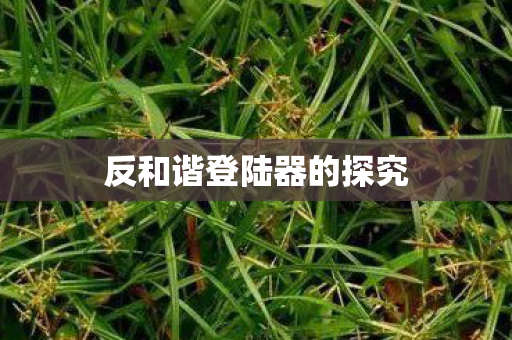 反和谐登陆器的探究图片