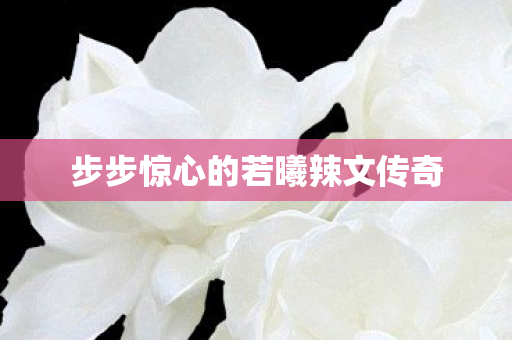 步步惊心的若曦辣文传奇图片