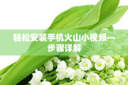 轻松安装手机火山小视频图片