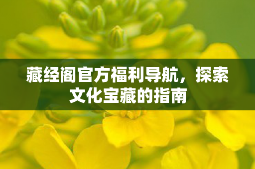 藏经阁官方福利导航图片