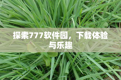 探索777软件园图片