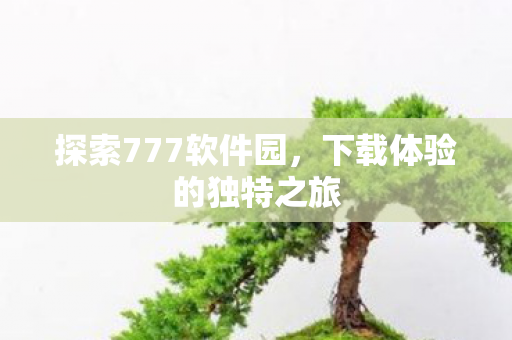 下载体验的独特之旅图片