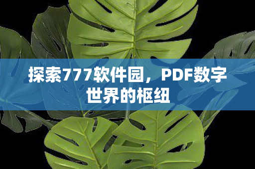 PDF数字世界的枢纽图片