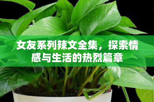 探索情感与生活的热烈篇章图片