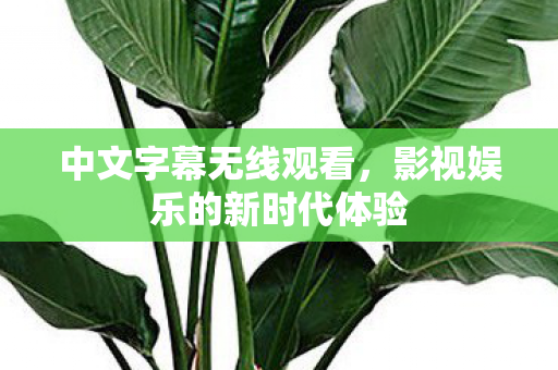 影视娱乐的新时代体验图片