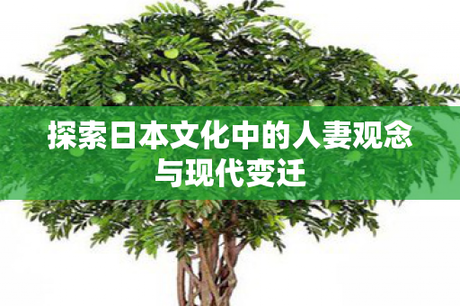 探索日本文化中的人妻观念与现代变迁图片