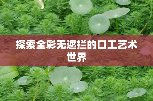 探索全彩无遮拦的口工艺术世界图片