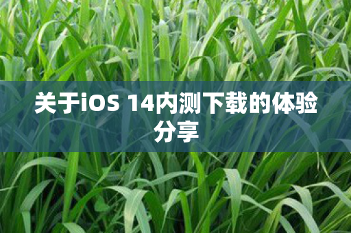 关于iOS 14内测下载的体验分享图片