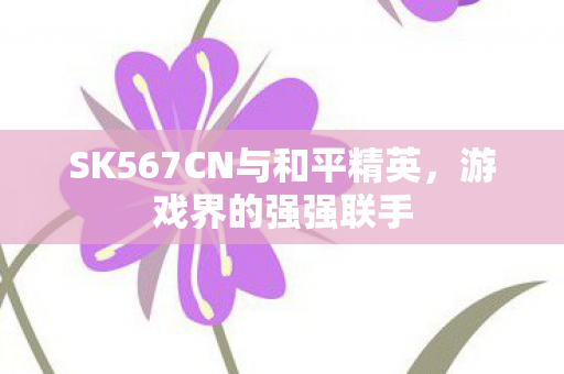 SK567CN与和平精英图片