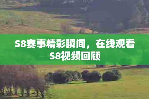 在线观看S8视频回顾图片