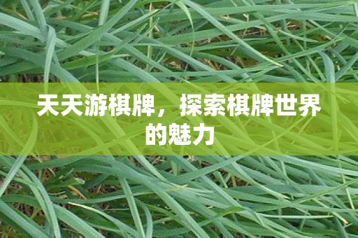 探索棋牌世界的魅力图片