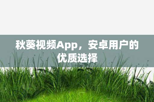 安卓用户的优质选择图片