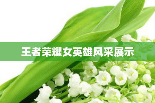 王者荣耀女英雄风采展示图片