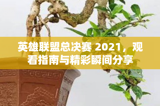 英雄联盟总决赛 2021图片