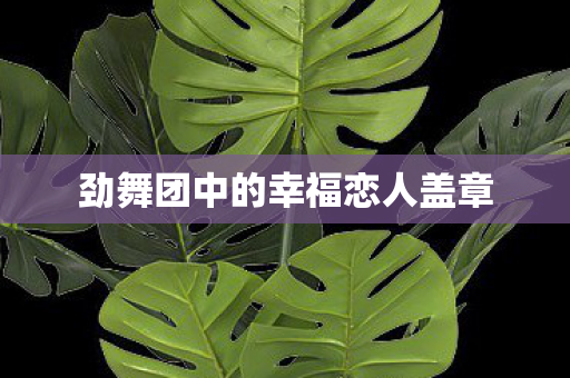 劲舞团中的幸福恋人盖章图片