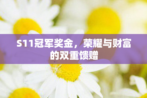 荣耀与财富的双重馈赠图片
