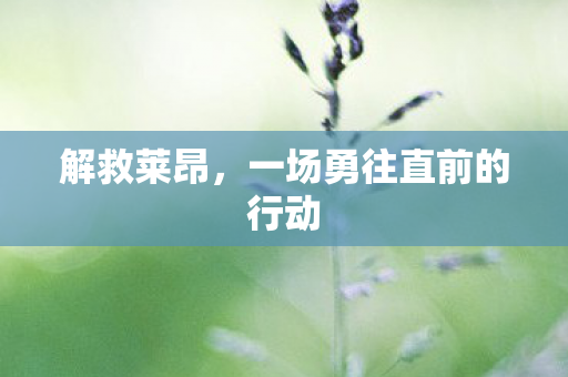 一场勇往直前的行动图片