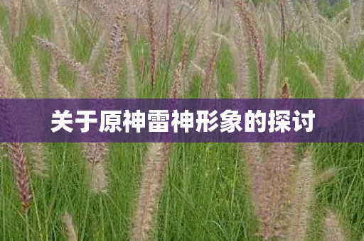 关于原神雷神形象的探讨图片