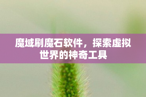 探索虚拟世界的神奇工具图片