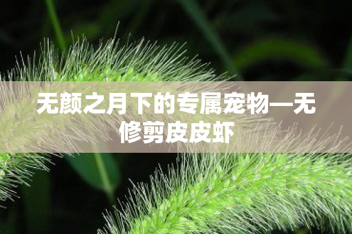 无颜之月下的专属宠物图片
