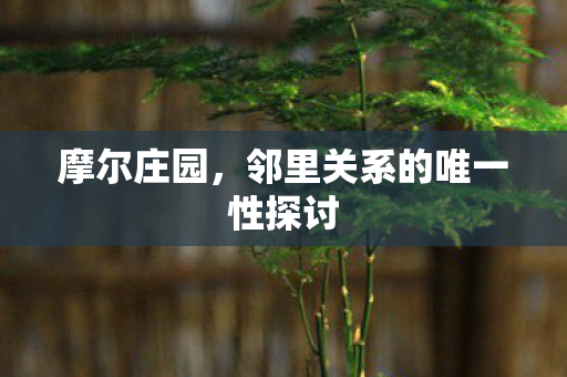 邻里关系的唯一性探讨图片