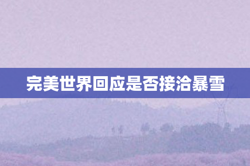 完美世界回应是否接洽暴雪图片