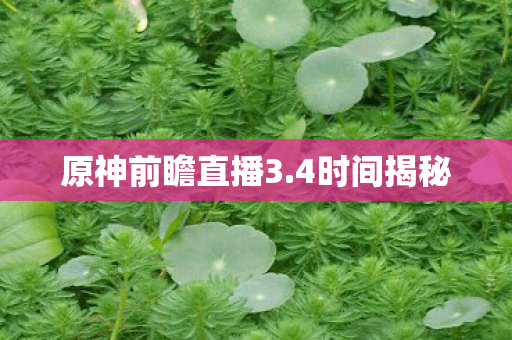 原神前瞻直播3图片