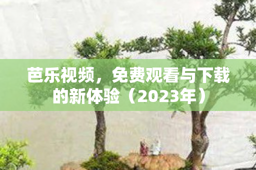 免费观看与下载的新体验图片
