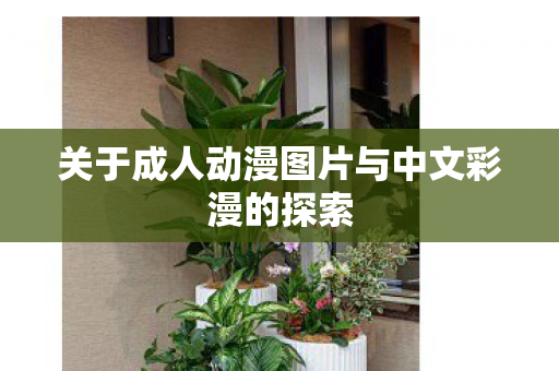 关于成人动漫图片与中文彩漫的探索图片