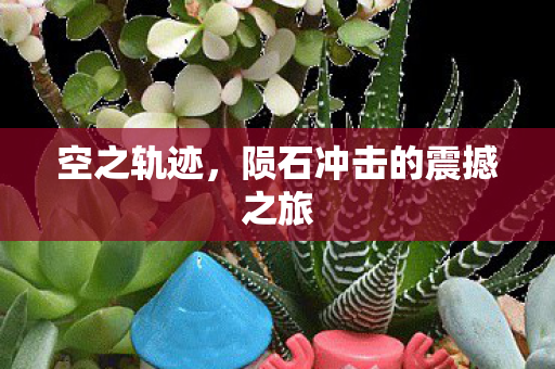 陨石冲击的震撼之旅图片