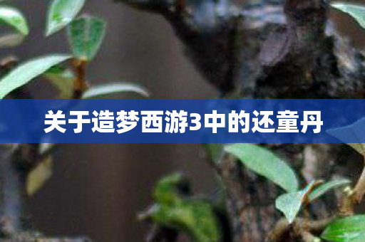关于造梦西游3中的还童丹图片