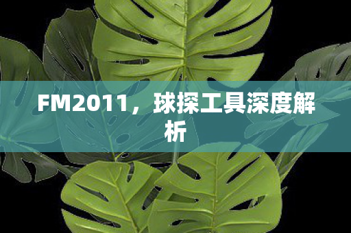 球探工具深度解析图片