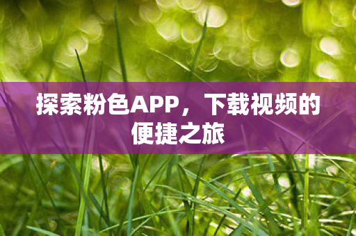 下载视频的便捷之旅图片