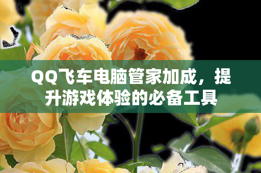 提升游戏体验的必备工具图片