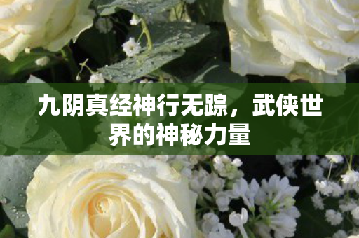 武侠世界的神秘力量图片