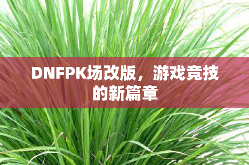 DNFPK场改版图片