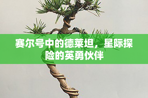 星际探险的英勇伙伴图片